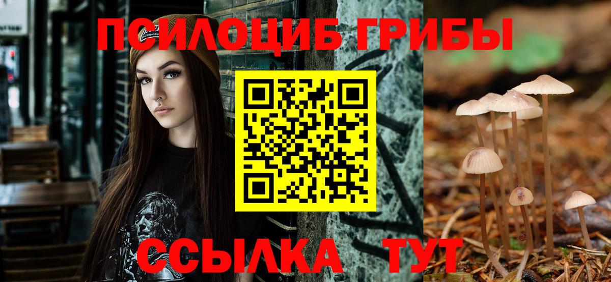 Родники  Псилоцибиновые грибы мицелий  Псилоцибиновые грибы мухоморы  Вход с VPN 