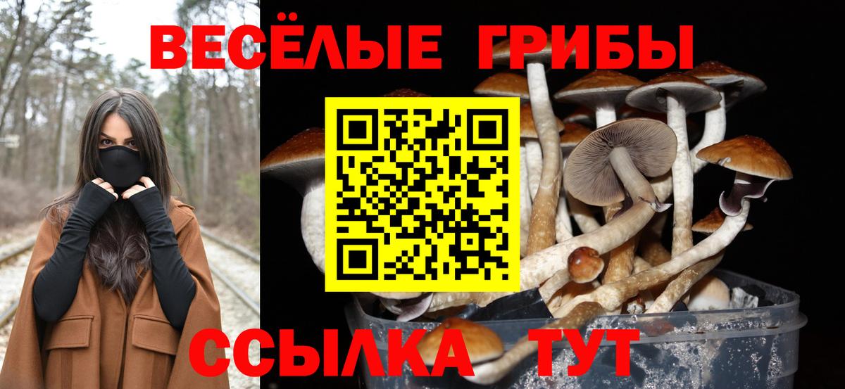 Галлюциногенные грибы Magic Shrooms Родники